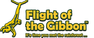 Flight of the Gibbon